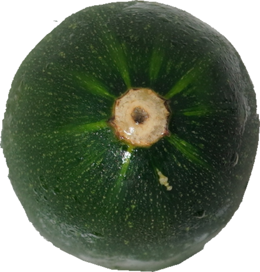 ズッキーニ｜商用可フリー画像・背景透過