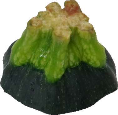 ズッキーニ｜商用可フリー画像・背景透過