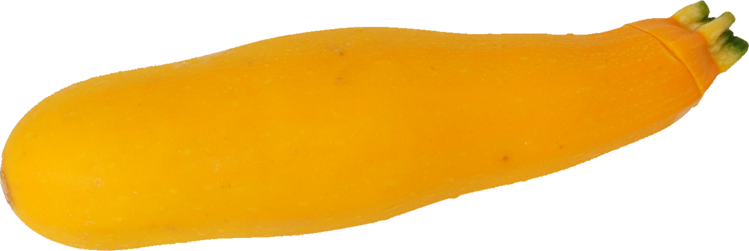 ズッキーニ｜商用可フリー画像・背景透過