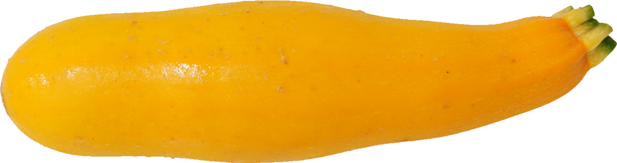 ズッキーニ｜商用可フリー画像・背景透過