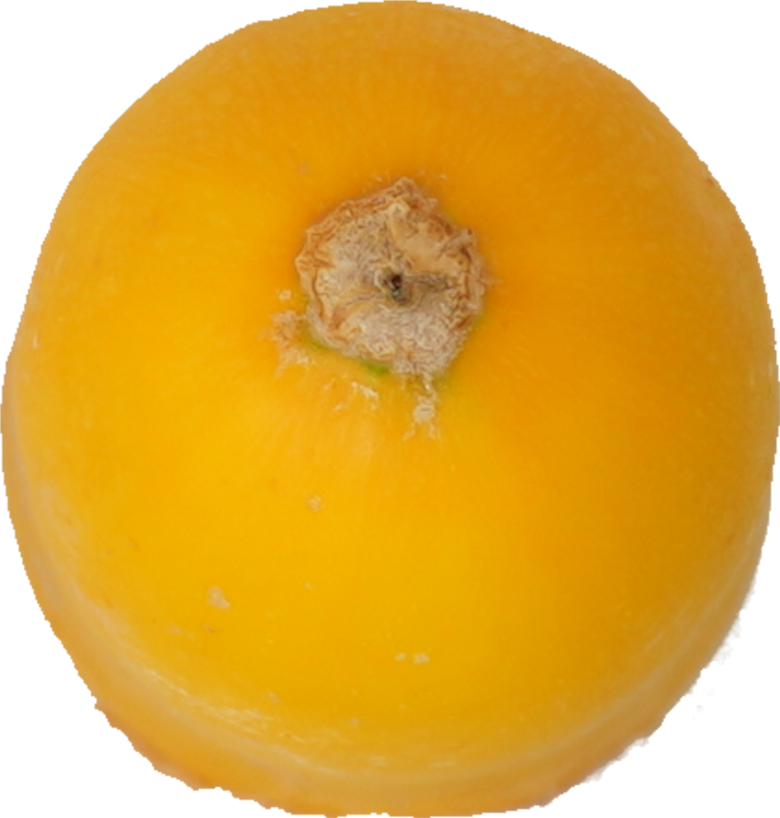 ズッキーニ｜商用可フリー画像・背景透過