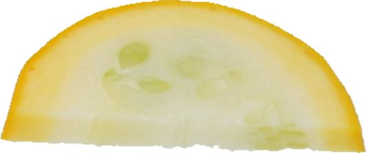 ズッキーニ｜商用可フリー画像・背景透過