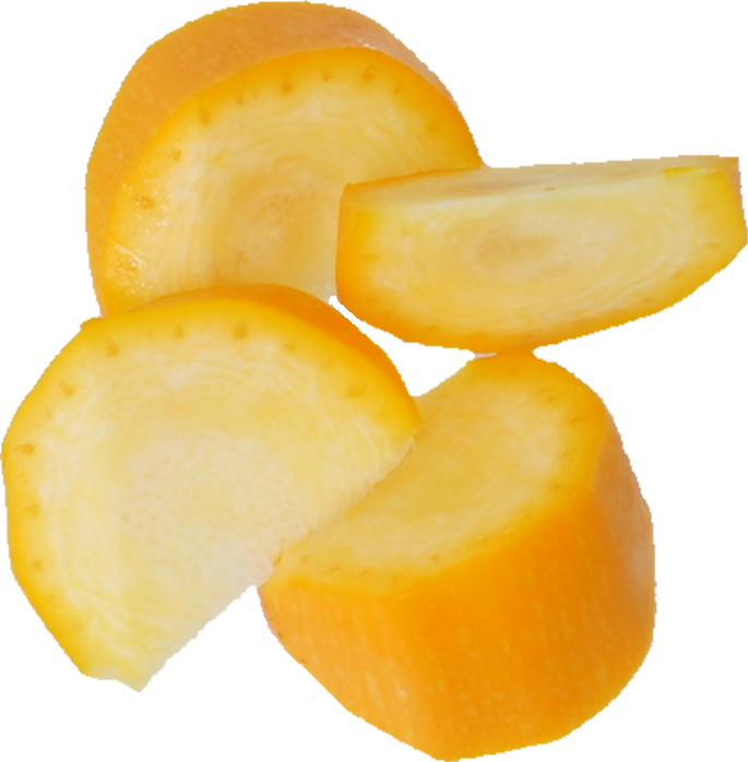 ズッキーニ｜商用可フリー画像・背景透過