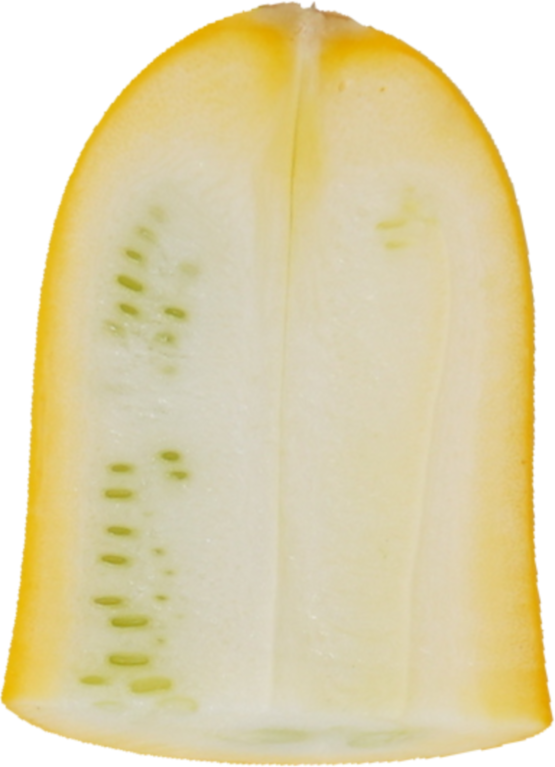 ズッキーニ｜商用可フリー画像・背景透過