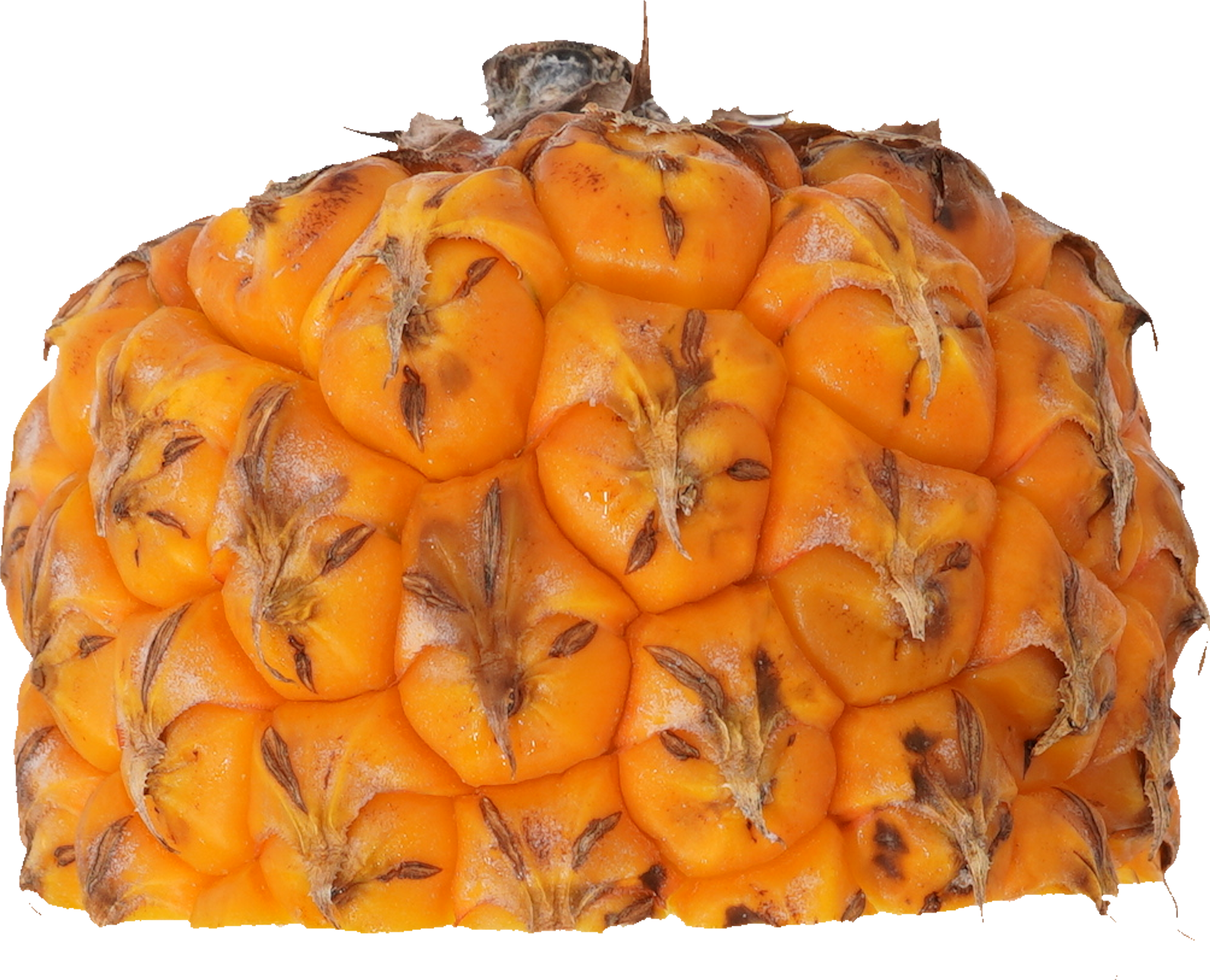 パインアップル（スナックパイン）｜商用可フリー画像・背景透過