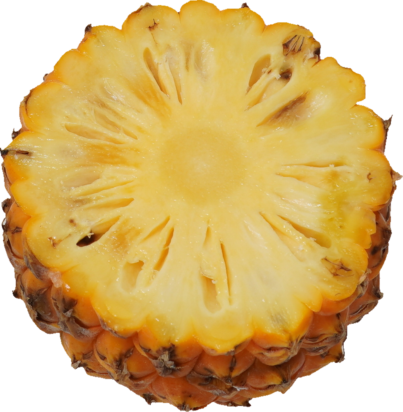 パインアップル（スナックパイン）｜商用可フリー画像・背景透過