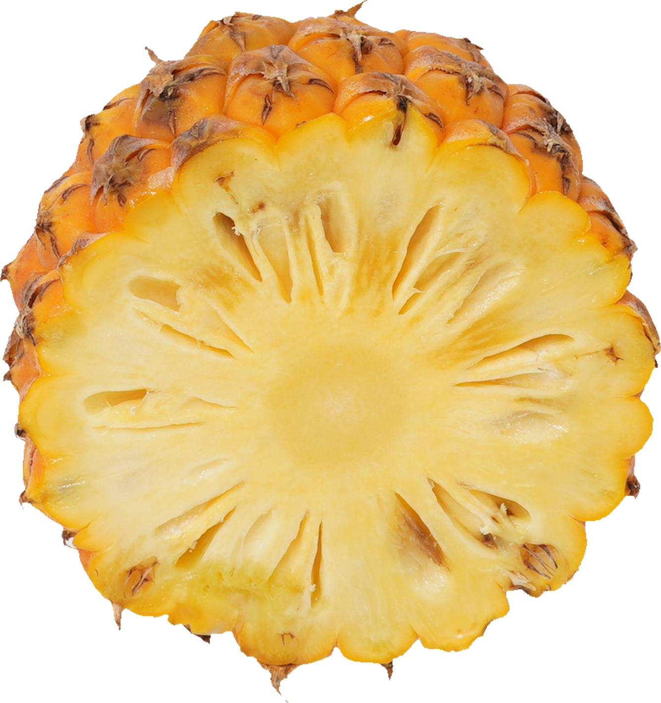 パインアップル（スナックパイン）｜商用可フリー画像・背景透過