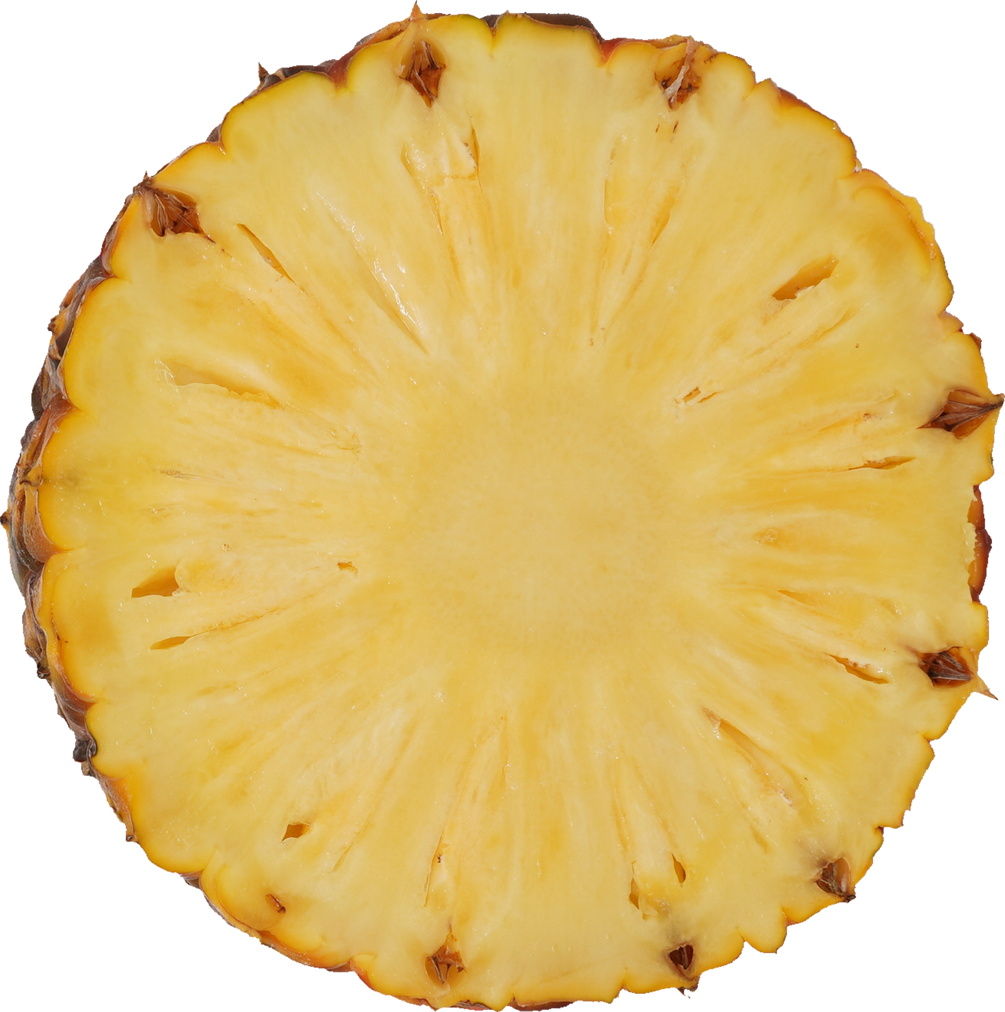 パインアップル（スナックパイン）｜商用可フリー画像・背景透過