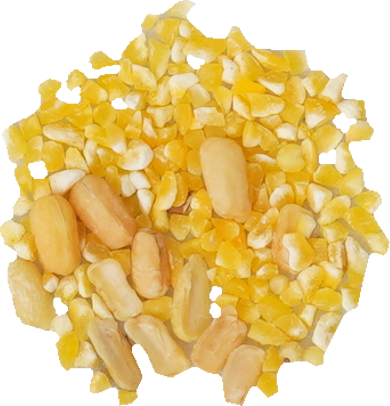 とうもろこし｜商用可フリー画像・背景透過