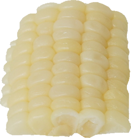 とうもろこし（白）｜商用可フリー画像・背景透過