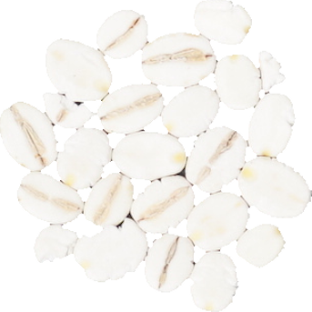 大麦｜商用可フリー画像・背景透過