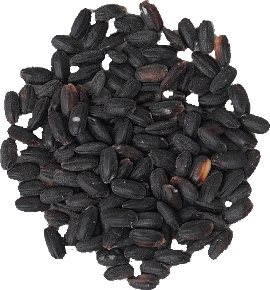 黒豆｜商用可フリー画像・背景透過