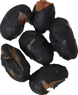 黒豆｜商用可フリー画像・背景透過