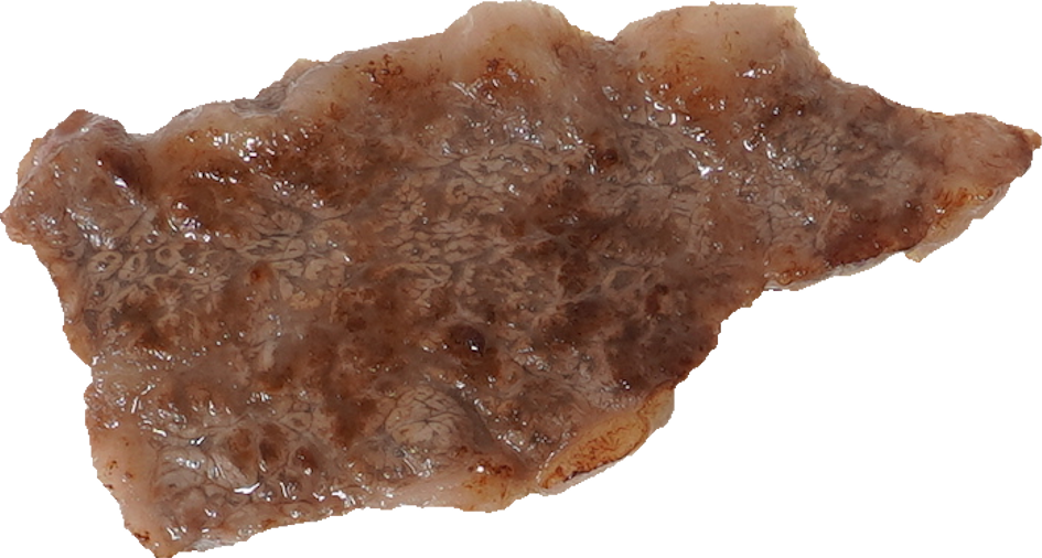 牛－かたロース｜商用可フリー画像・背景透過