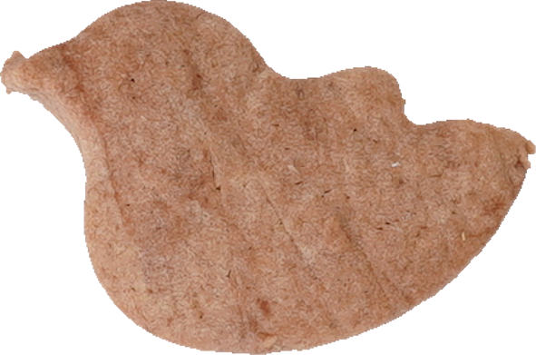 クッキー｜商用可フリー画像・背景透過