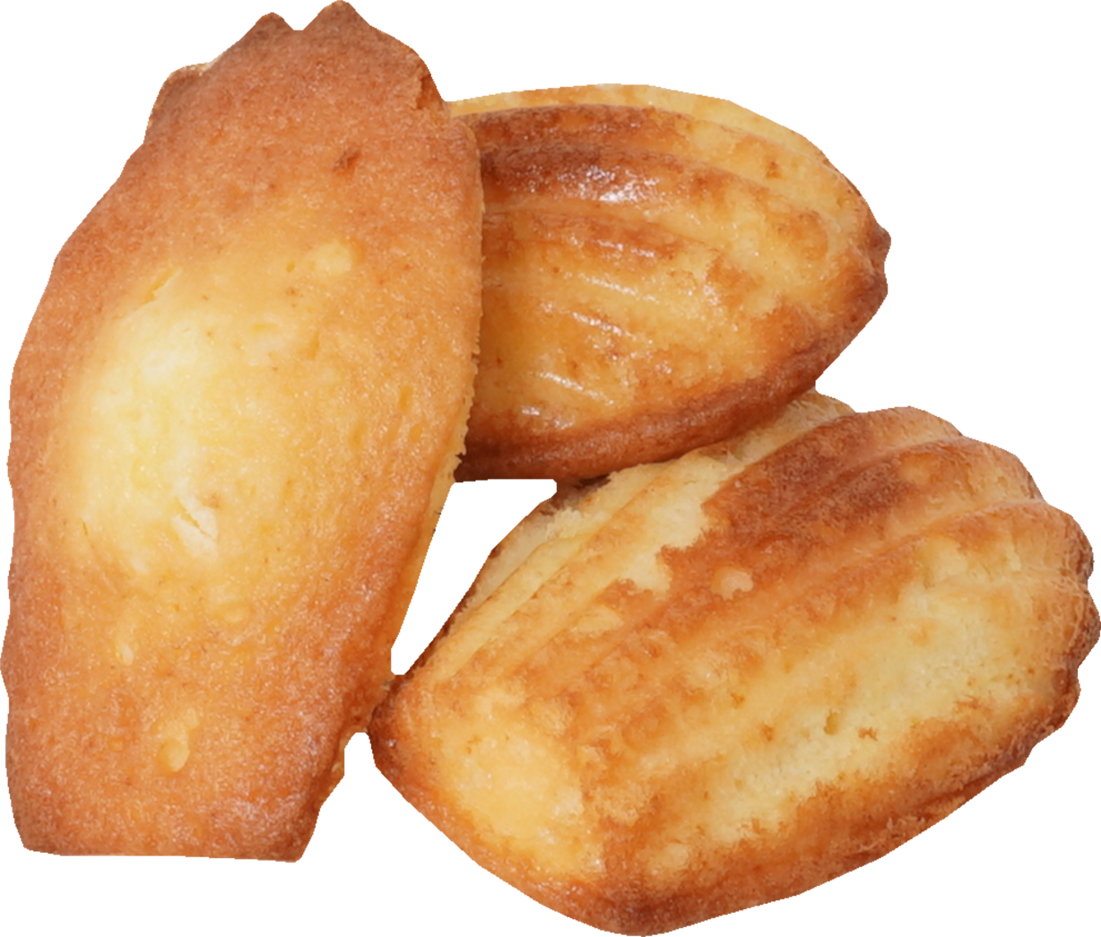 マドレーヌ｜商用可フリー画像・背景透過