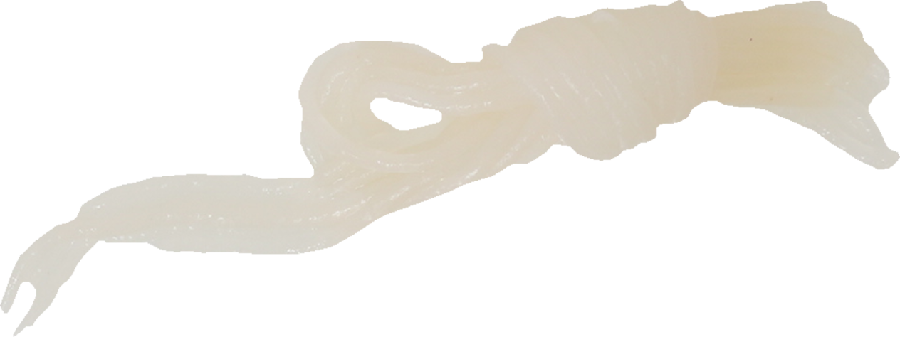 おでんの具（糸こんにゃく）｜商用可フリー画像・背景透過