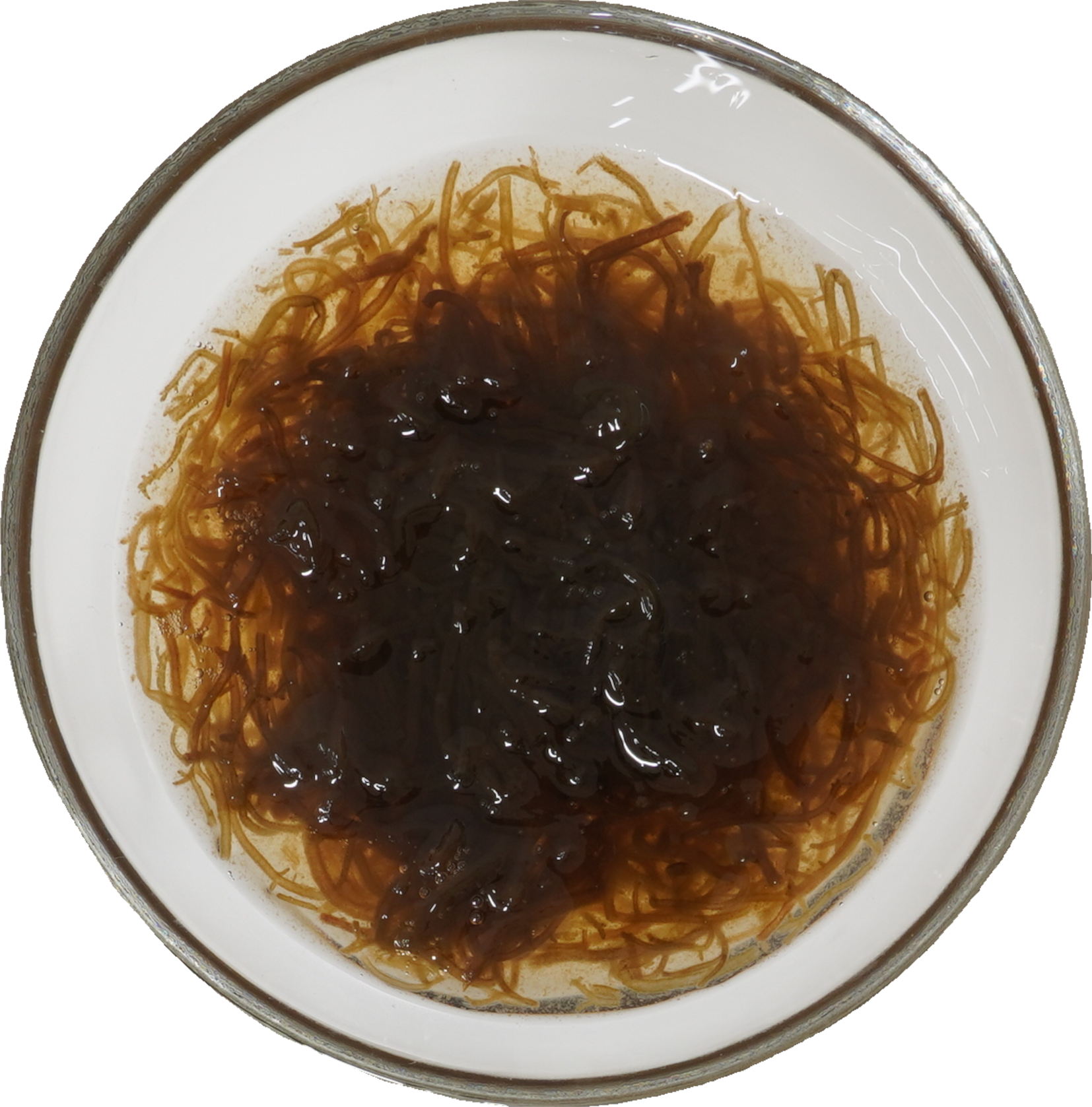 もずくの酢の物｜商用可フリー画像・背景透過