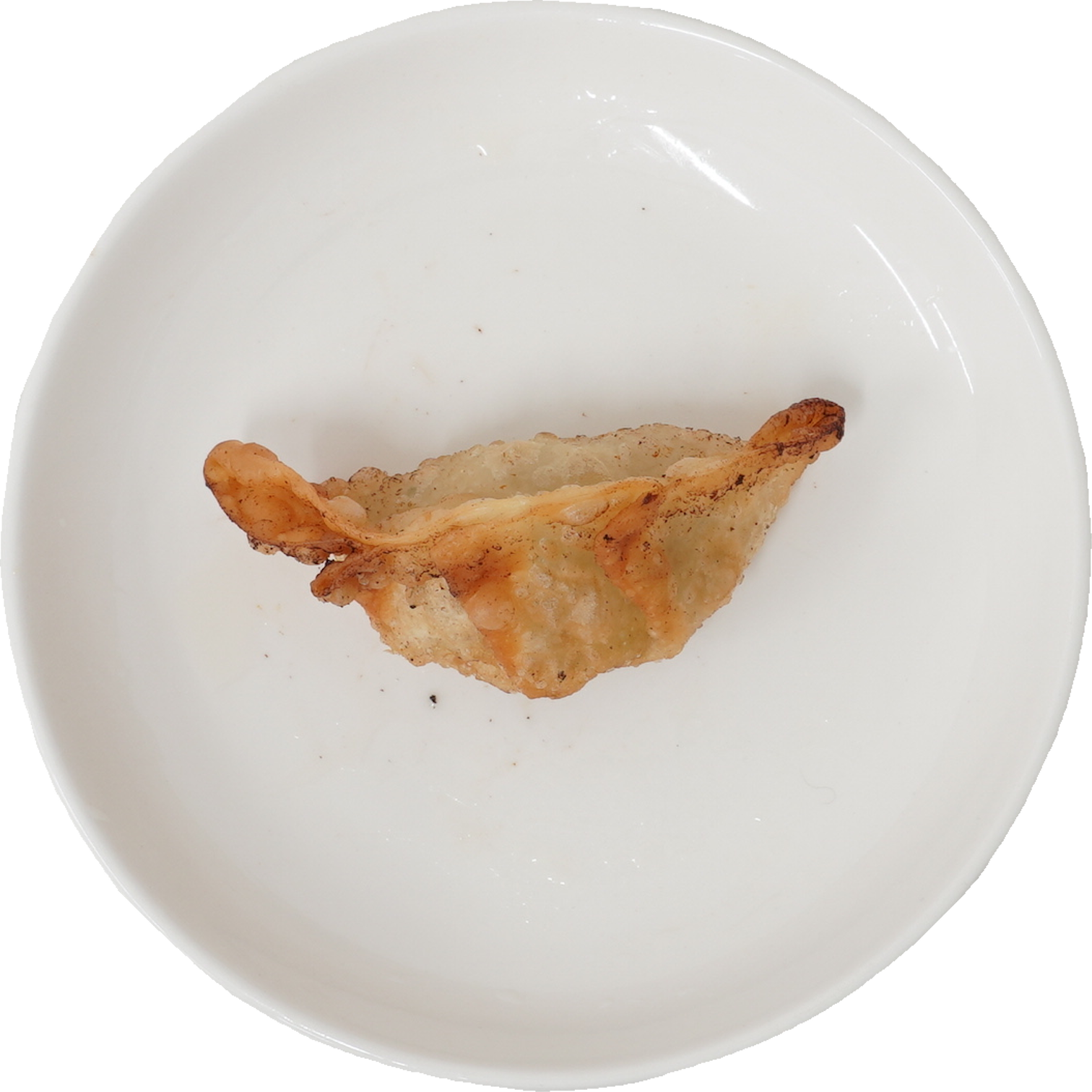 揚げ餃子｜商用可フリー画像・背景透過