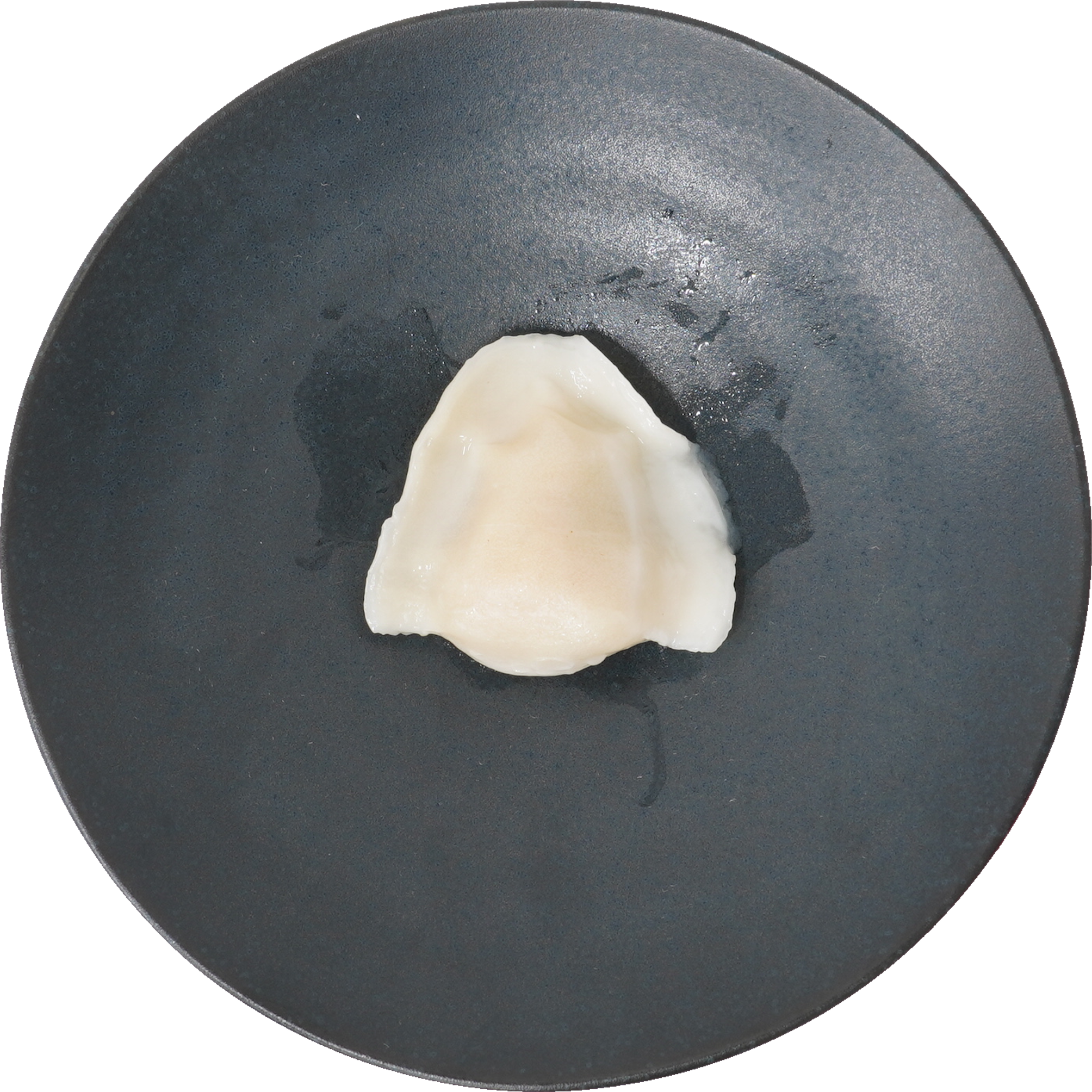 水餃子｜商用可フリー画像・背景透過