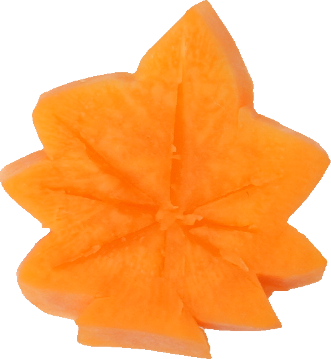 にんじん｜商用可フリー画像・背景透過