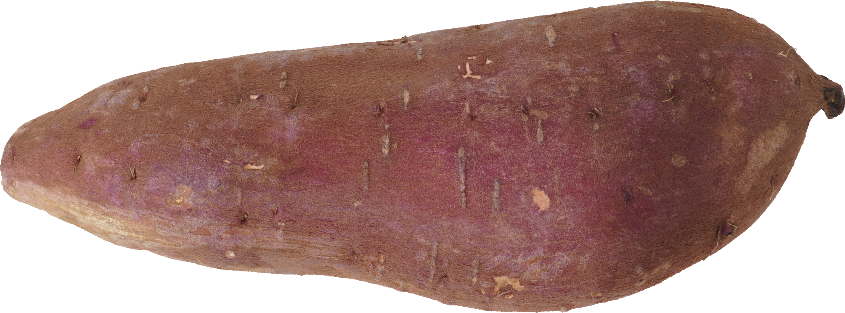 さつまいも（シルクスイート）｜商用可フリー画像・背景透過