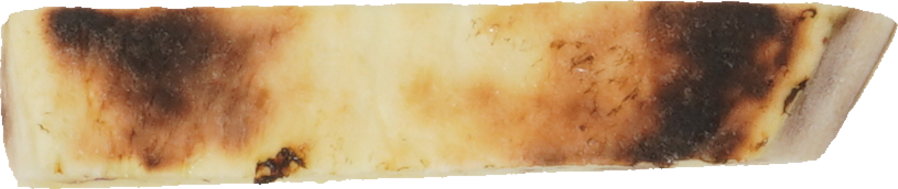 さつまいも（焼き）｜商用可フリー画像・背景透過