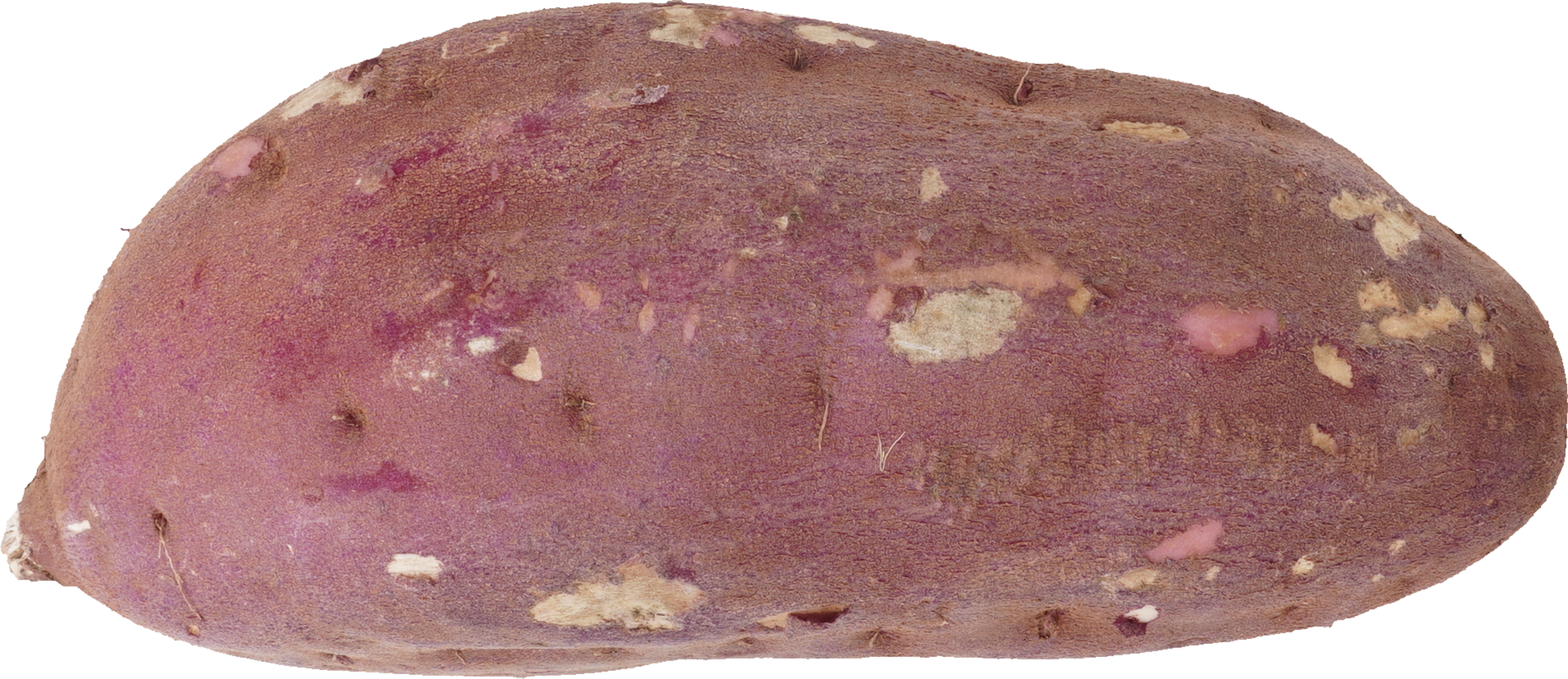 さつまいも（紅はるか）｜商用可フリー画像・背景透過