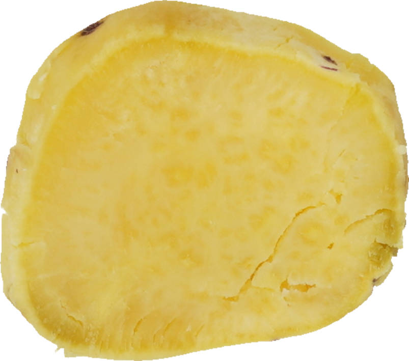 さつまいも（蒸し）｜商用可フリー画像・背景透過