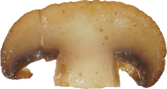 マッシュルーム（油いため）｜商用可フリー画像・背景透過