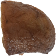 マッシュルーム（油いため）｜商用可フリー画像・背景透過