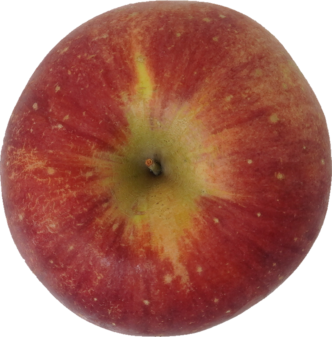 りんご｜商用可フリー画像・背景透過