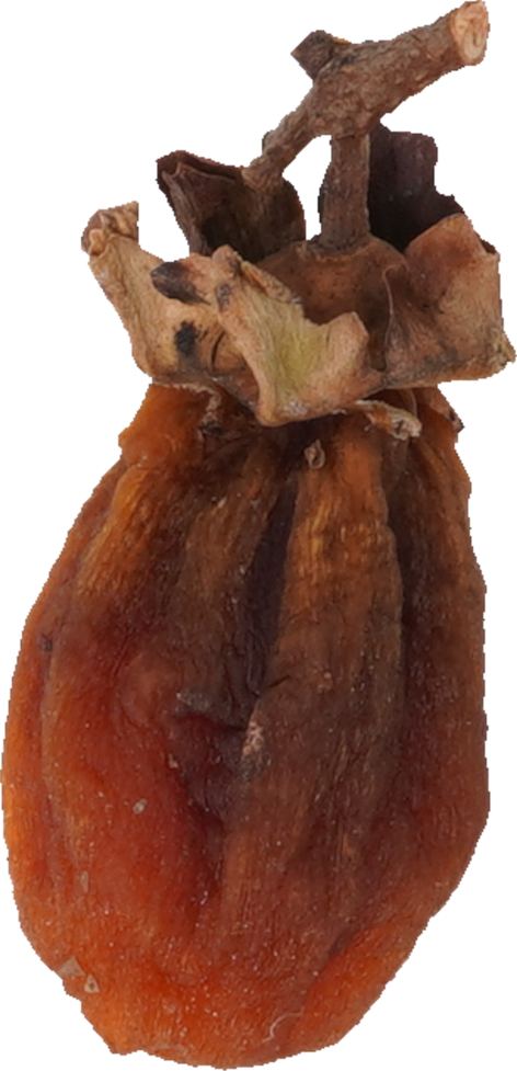 干しがき｜商用可フリー画像・背景透過