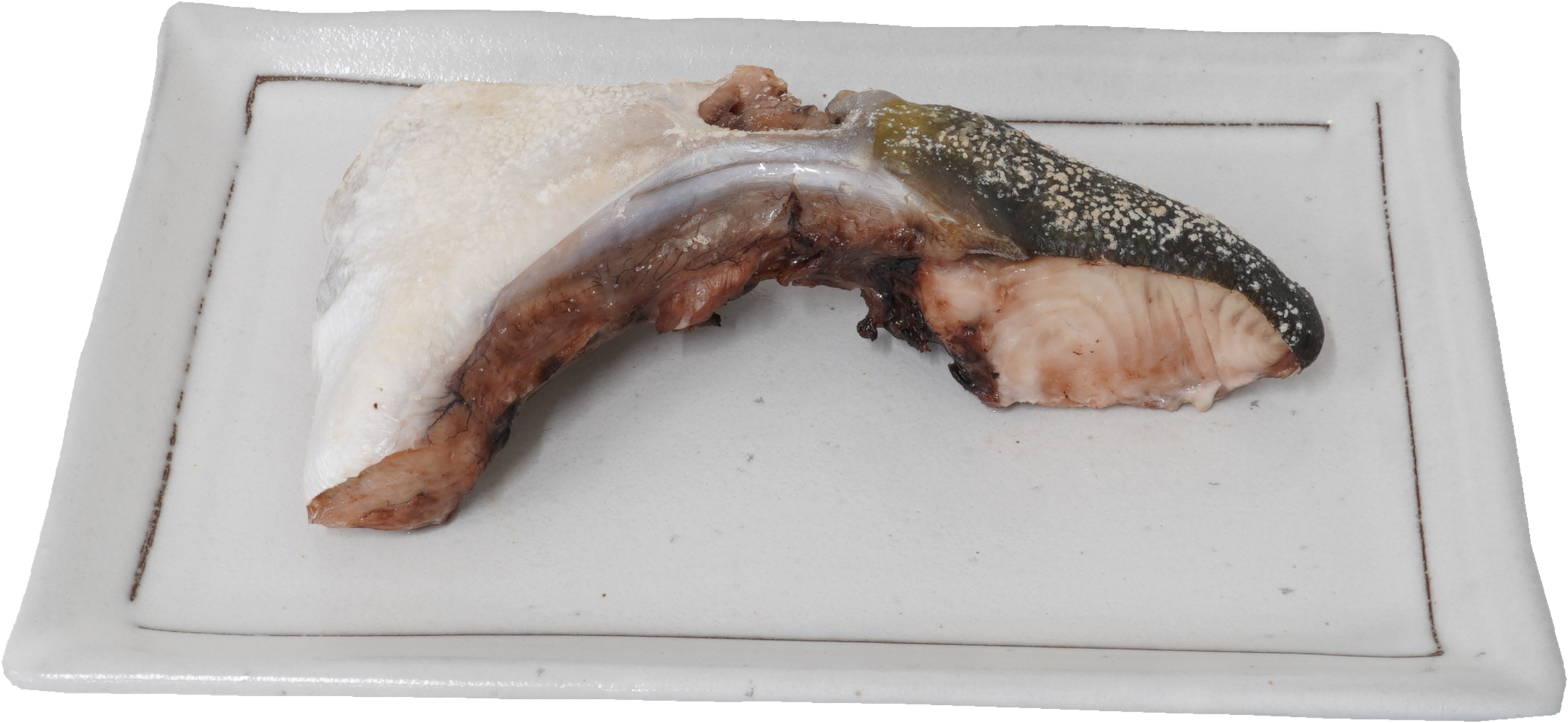 ぶりかま｜商用可フリー画像・背景透過