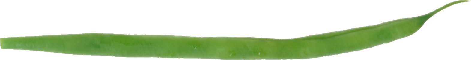 いんげんまめ（ゆで）｜商用可フリー画像・背景透過