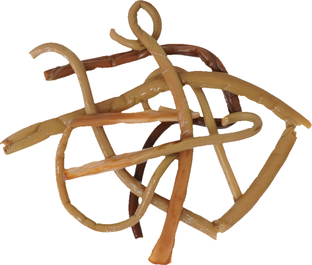 ぜんまい（水煮）｜商用可フリー画像・背景透過