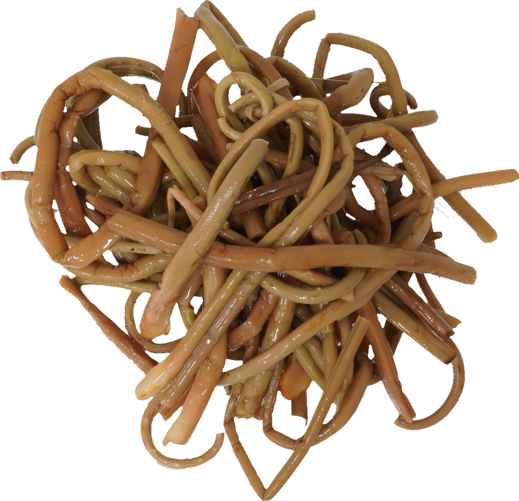 ぜんまい（水煮）｜商用可フリー画像・背景透過