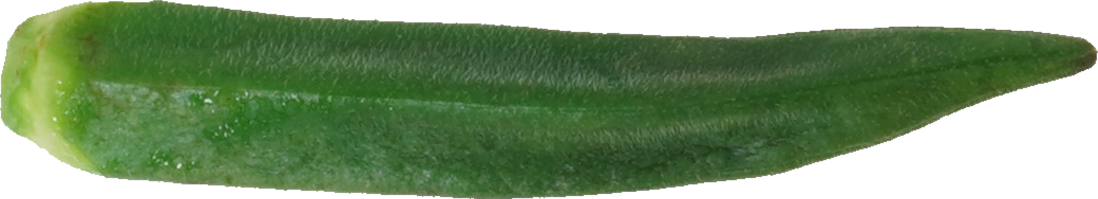 オクラ（ゆで）｜商用可フリー画像・背景透過