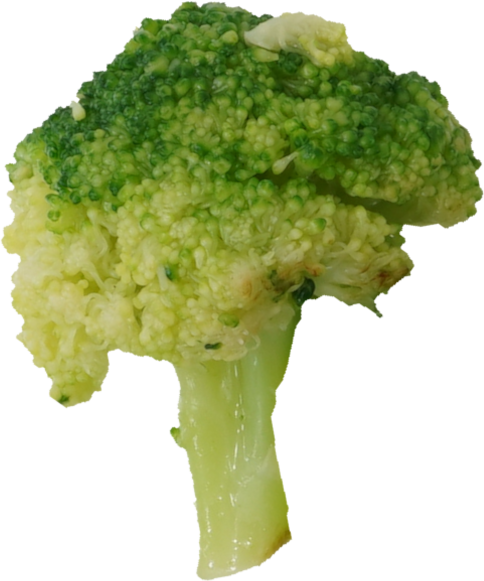 ブロッコリー（焼き）｜商用可フリー画像・背景透過