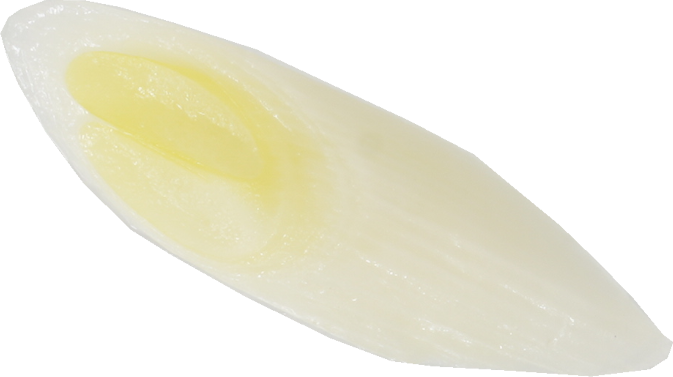 ねぎ（根深ねぎ・ゆで）｜商用可フリー画像・背景透過