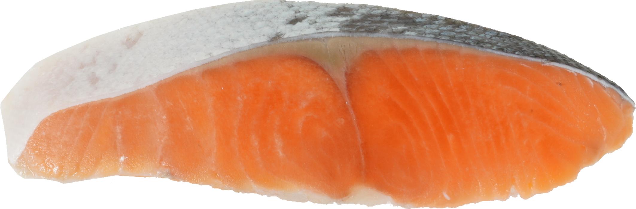 ぎんざけ｜商用可フリー画像・背景透過