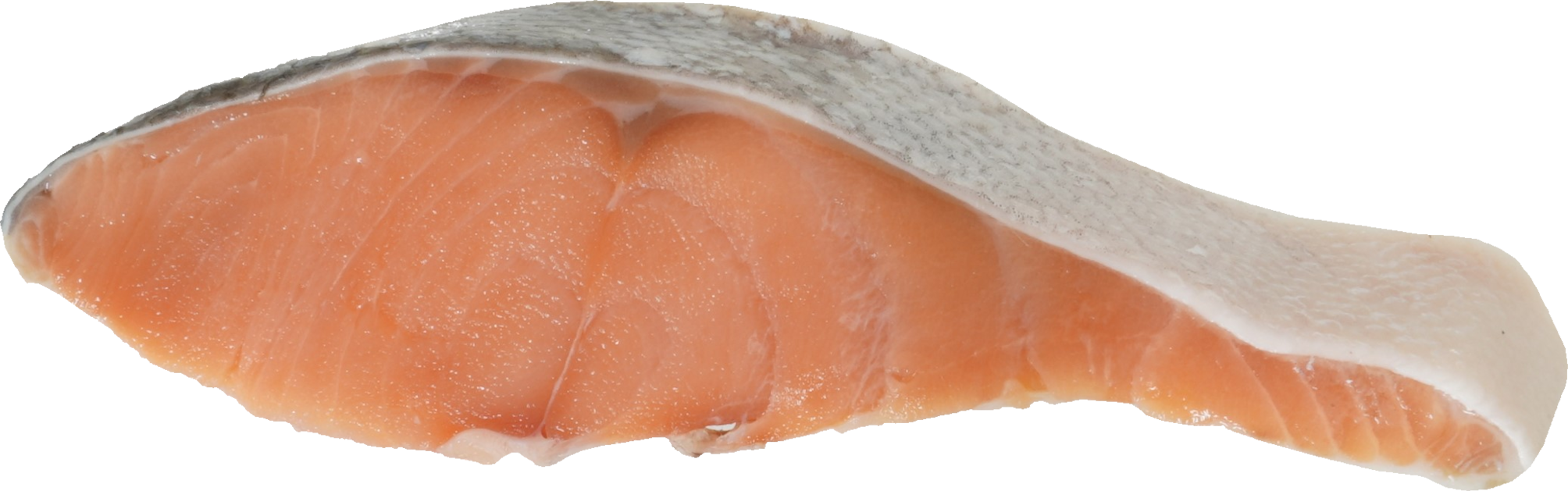 しろさけ｜商用可フリー画像・背景透過