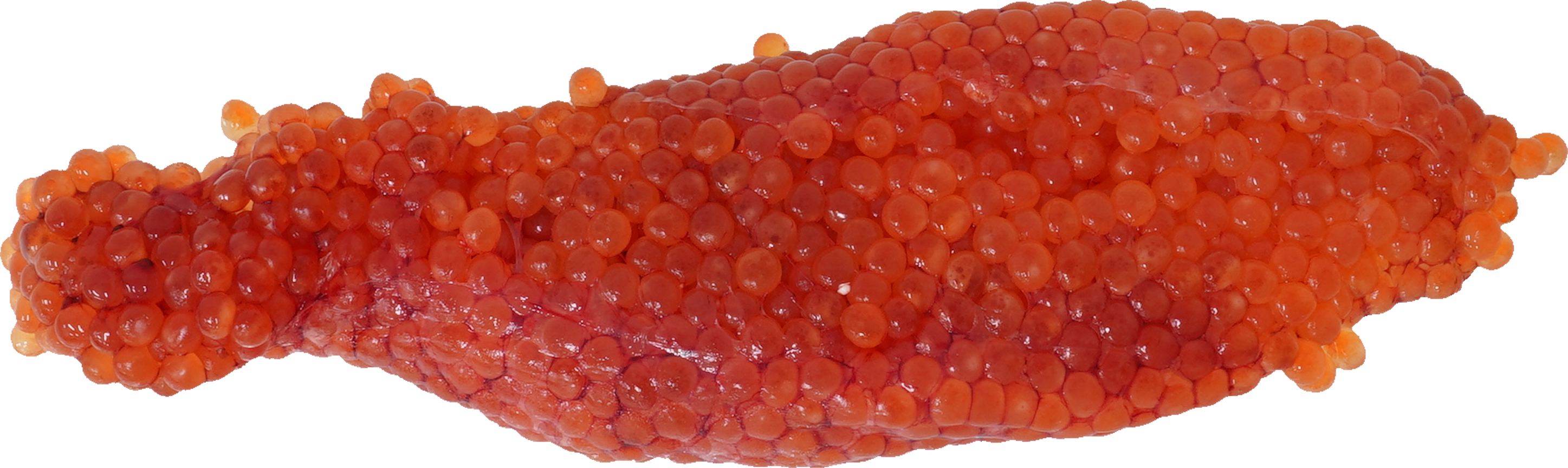 すじこ｜商用可フリー画像・背景透過