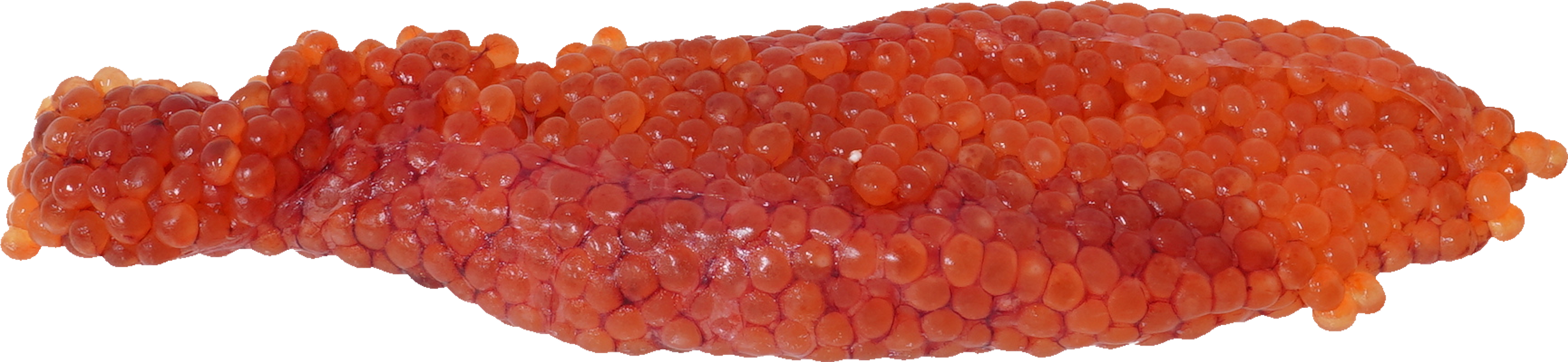 すじこ｜商用可フリー画像・背景透過