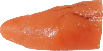 たらこ｜商用可フリー画像・背景透過