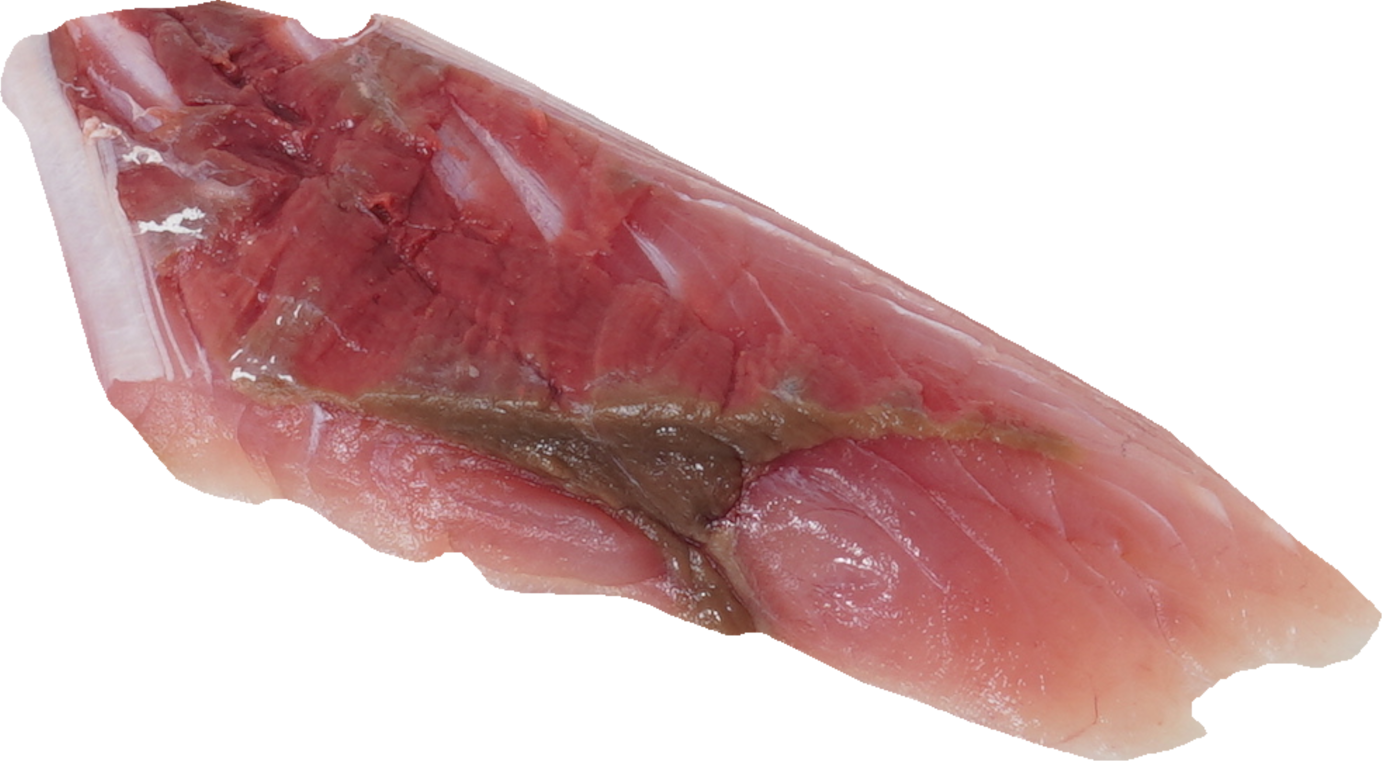 ぶり（はまち）｜商用可フリー画像・背景透過