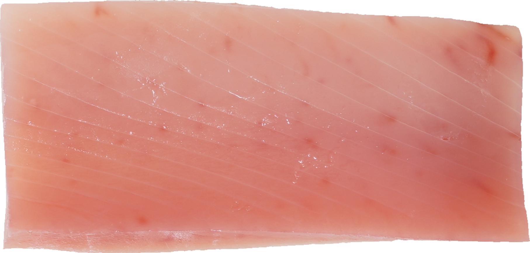 まぐろ（びんながまぐろ）｜商用可フリー画像・背景透過