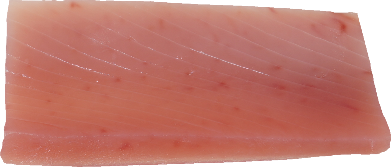 まぐろ（びんながまぐろ）｜商用可フリー画像・背景透過