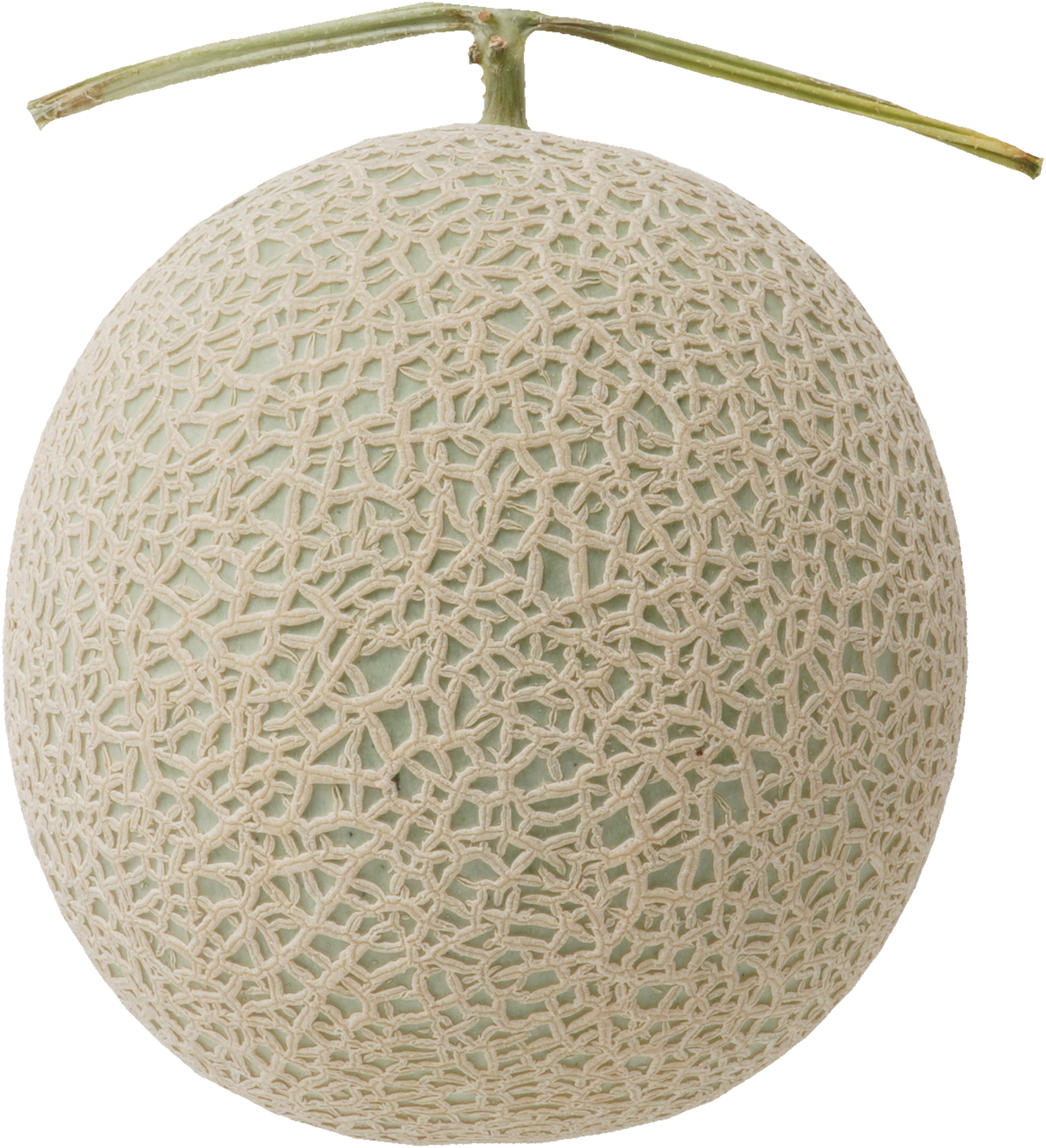 メロン｜商用可フリー画像・背景透過