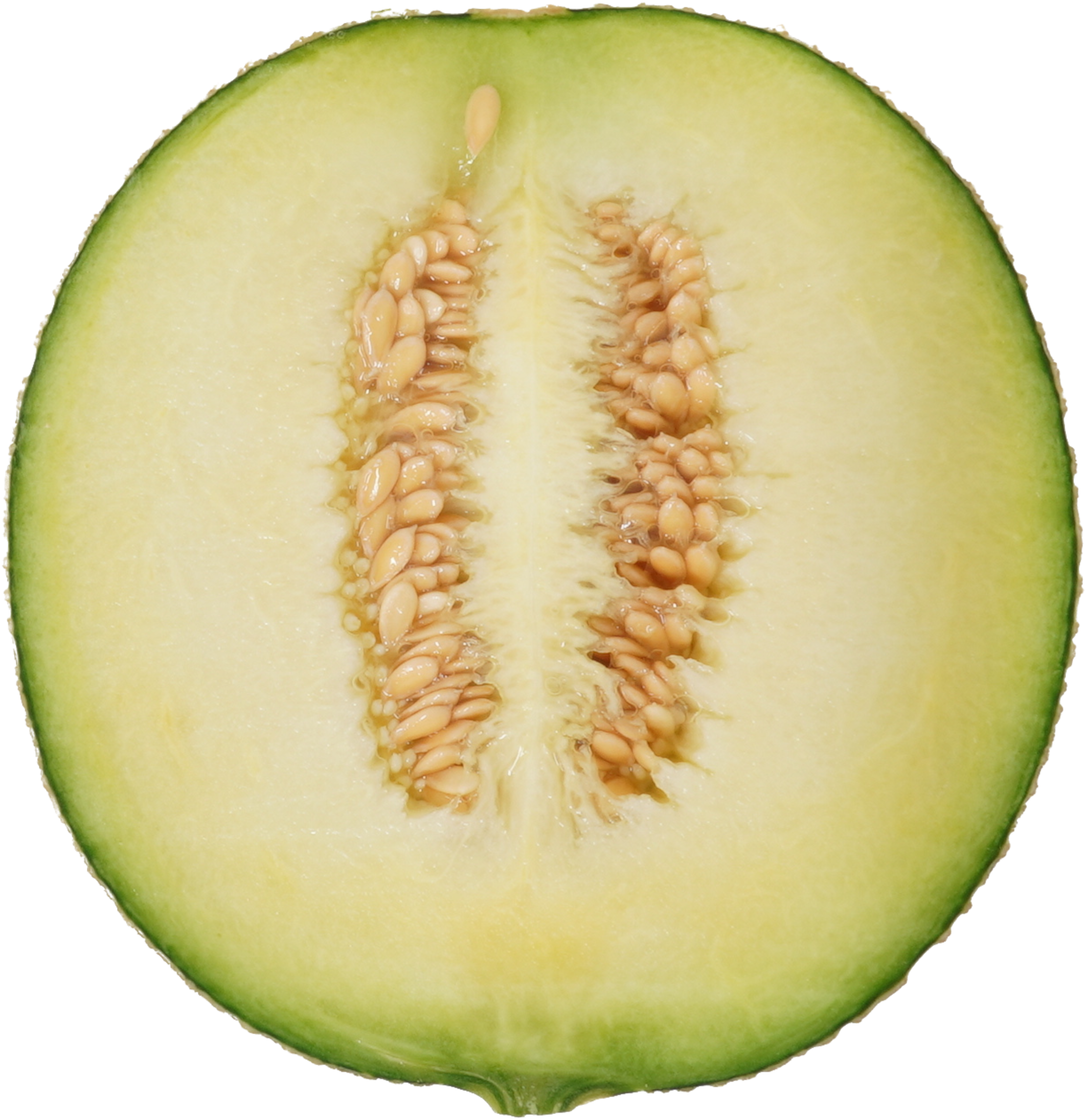 メロン｜商用可フリー画像・背景透過